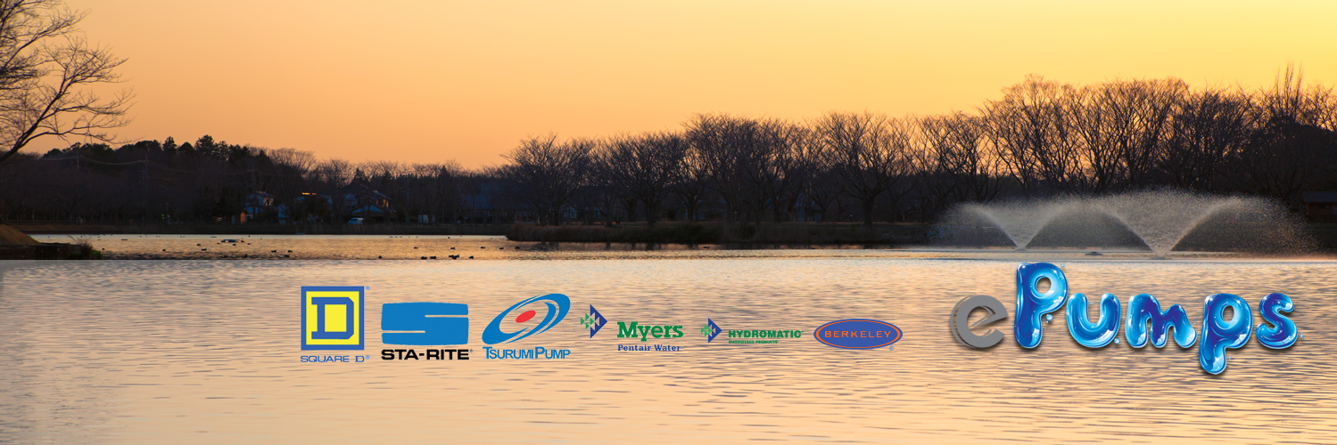 ePumps banner