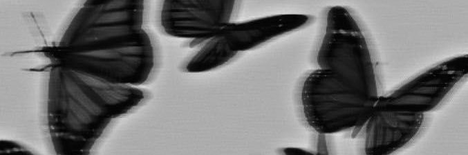 _dvijv's profile banner image