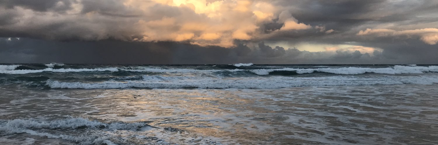 JillCorey's profile banner image