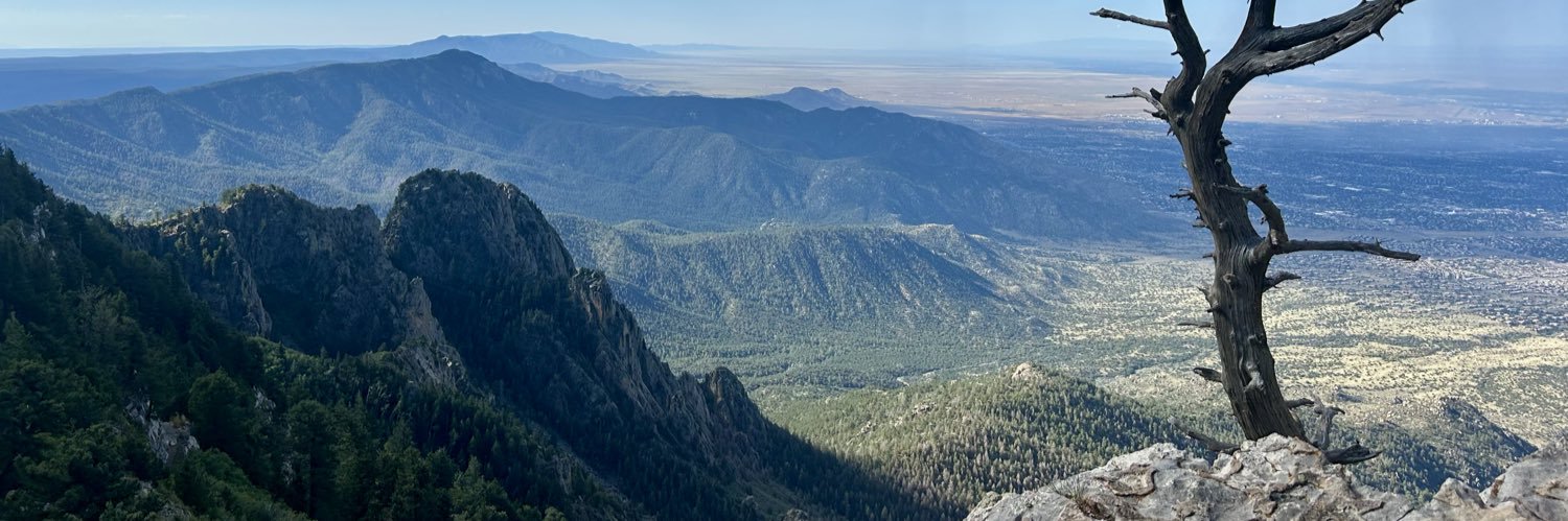 Sawyer 🇺🇸🌮🐓 banner