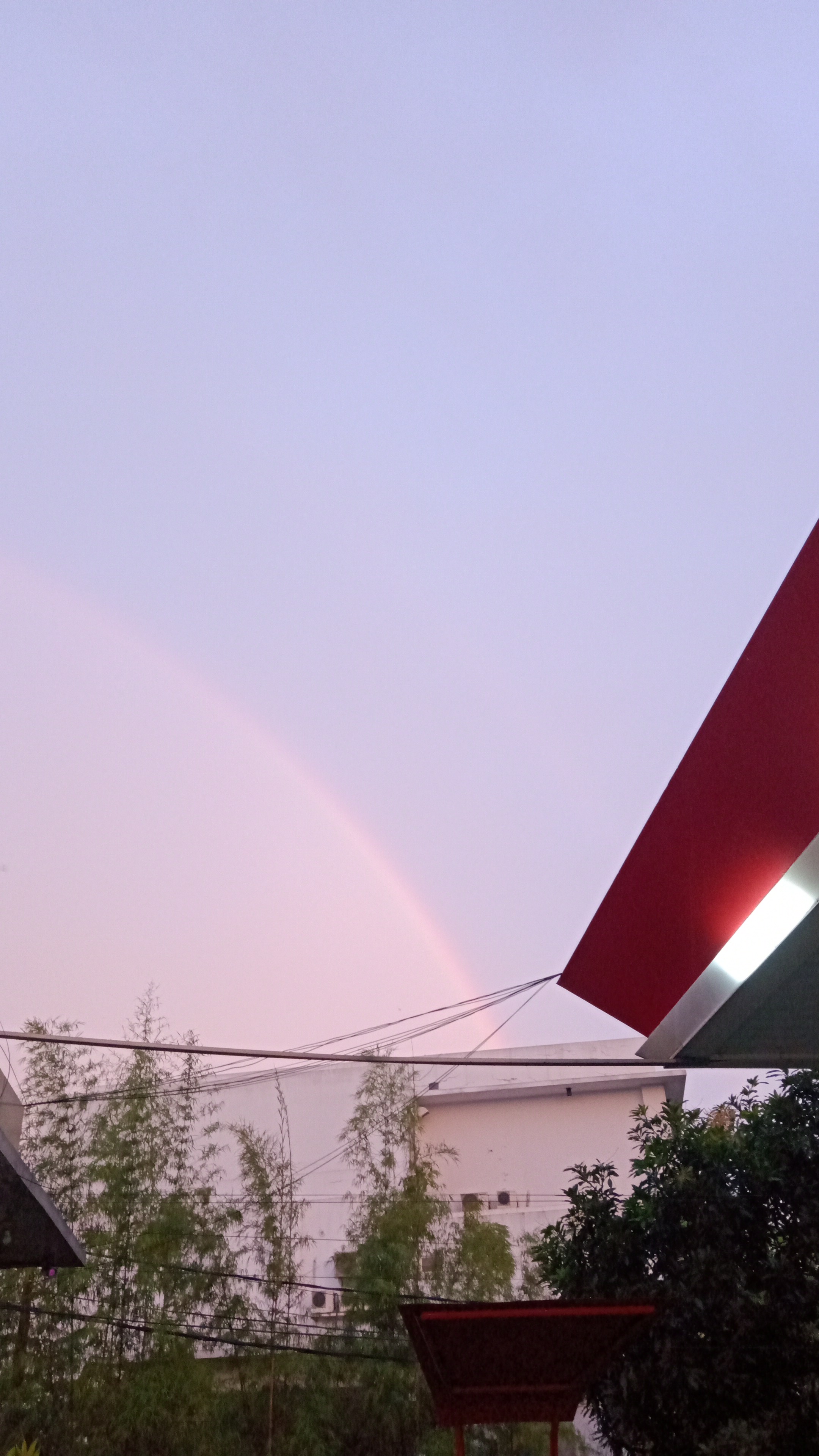 mucicians_'s profile banner image