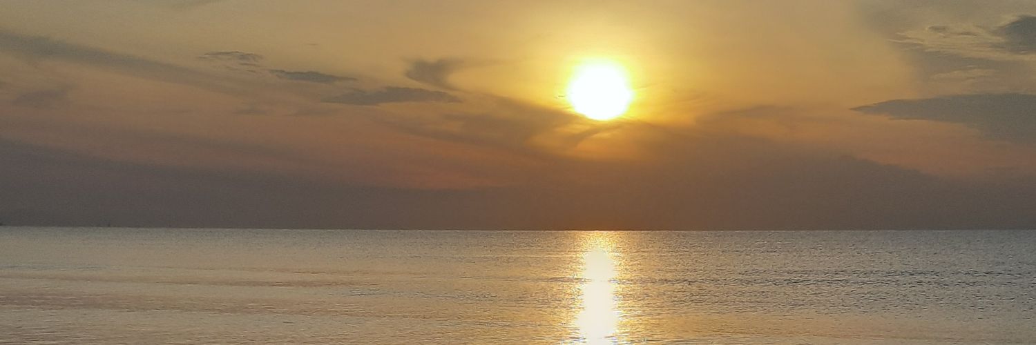 rozanasani's profile banner image