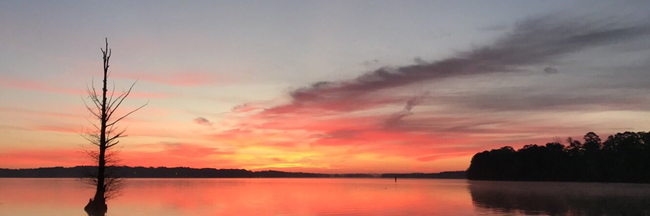 IanColeBridges's profile banner image