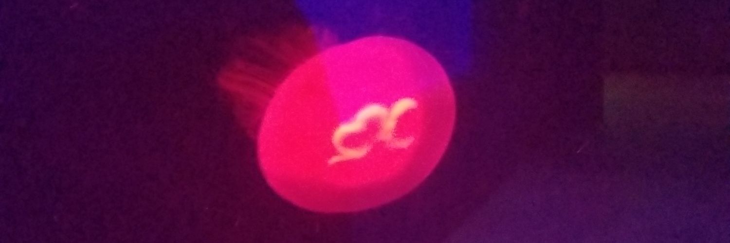 o2kami's profile banner image