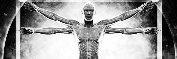 David Mindful banner