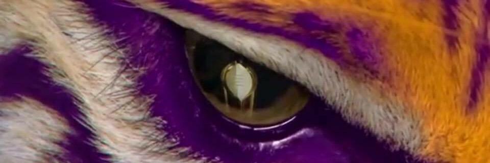 BeauxRoach752's profile banner image
