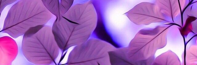 PamelaRuiz29's profile banner image