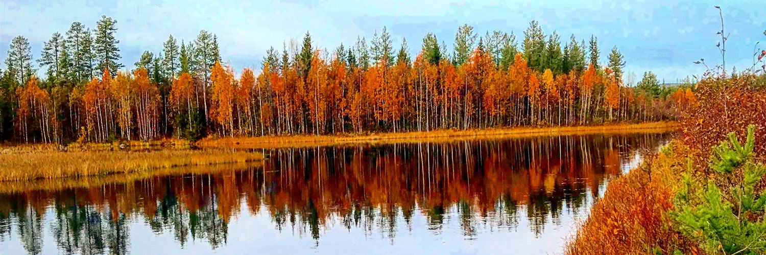 Robin Vikström banner