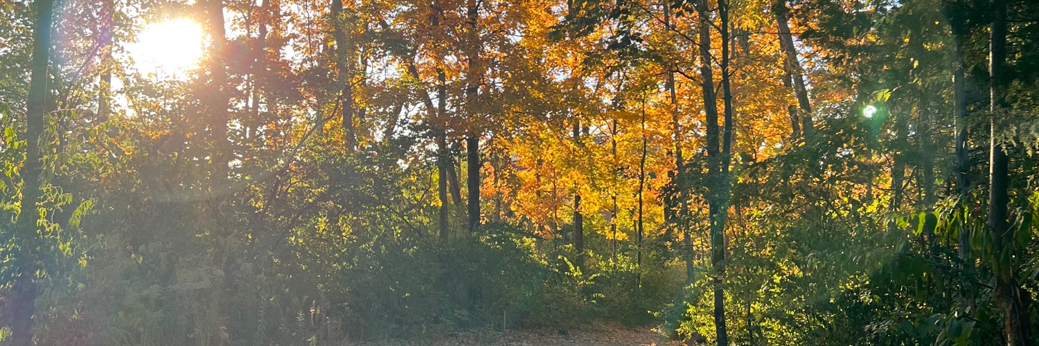 TChanell3's profile banner image