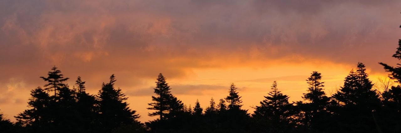 twilalla's profile banner image