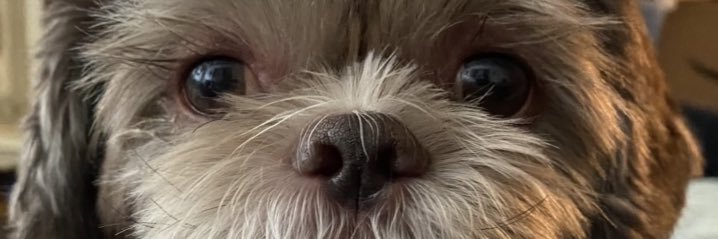 _NickTweets_'s profile banner image
