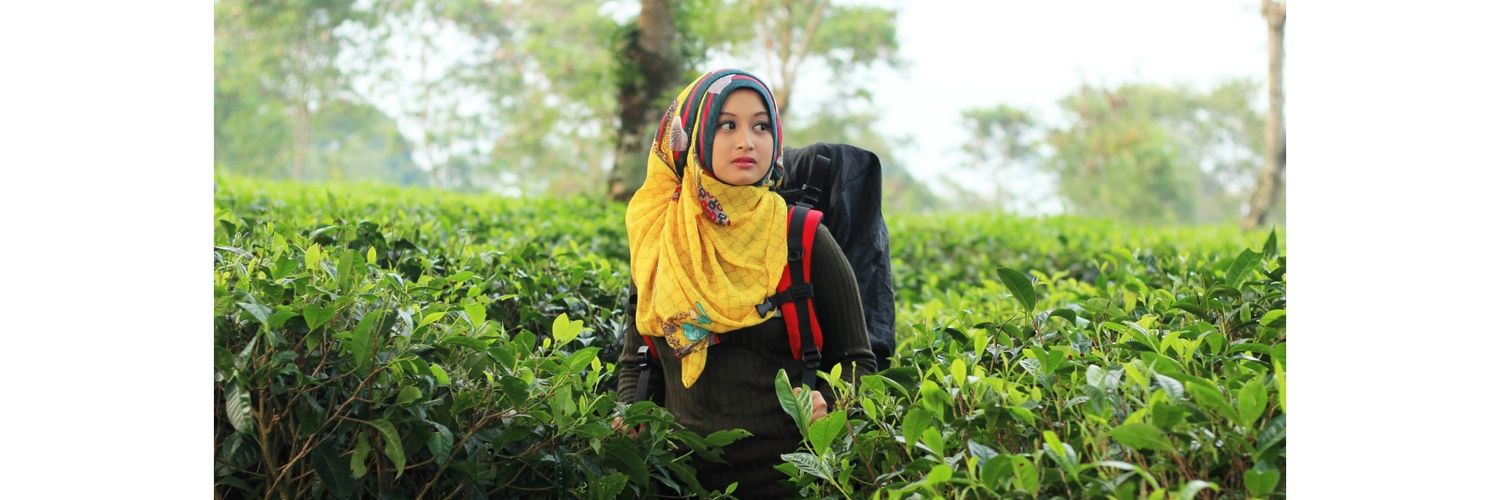 febry_amalia's profile banner image