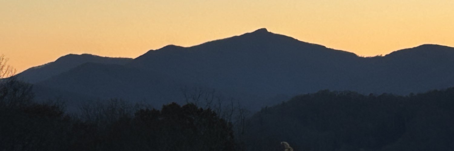 Beverly Freeman banner