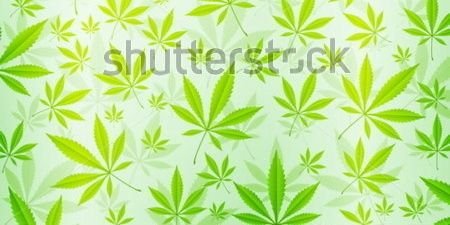 cobilocko's profile banner image