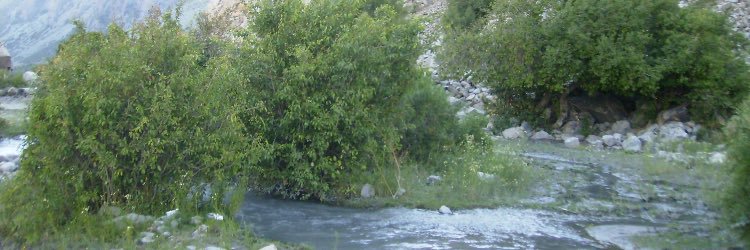 🔬Ivan Mendoza banner