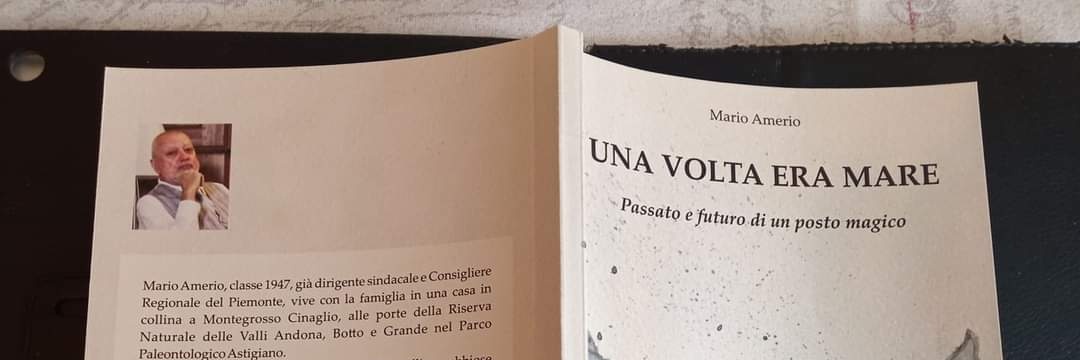 marioamerio's profile banner image