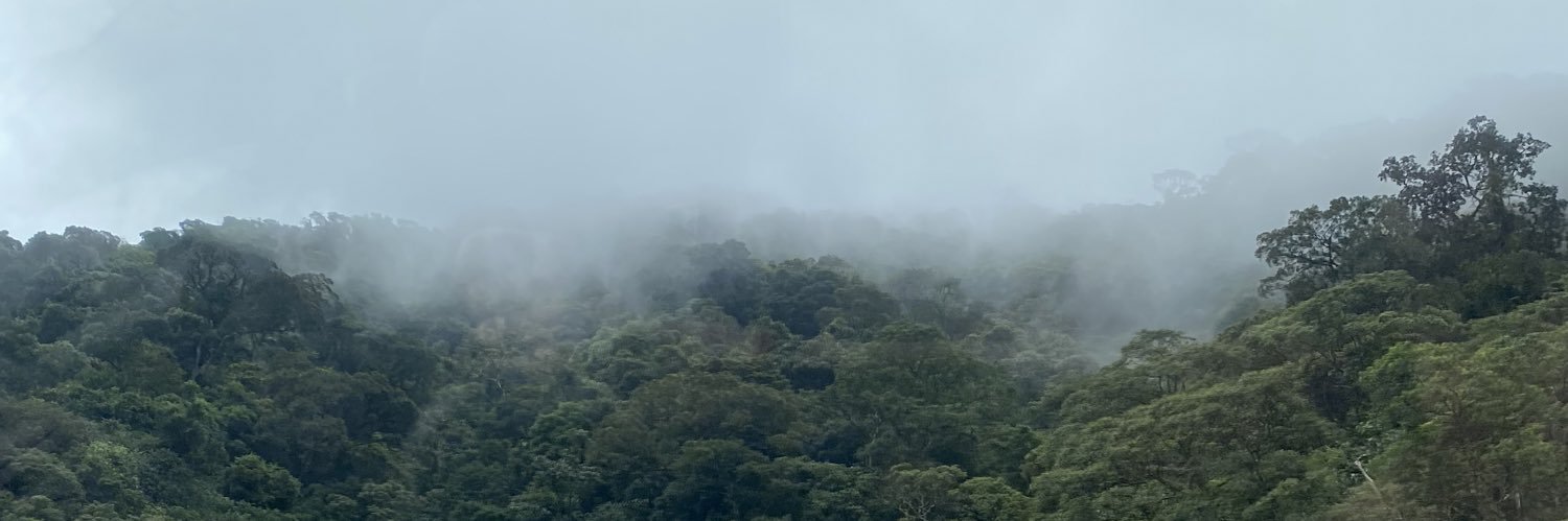 margiacomello's profile banner image