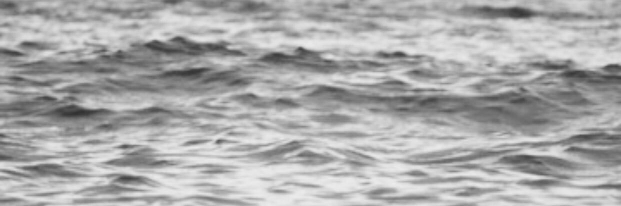 elainnaaev's profile banner image