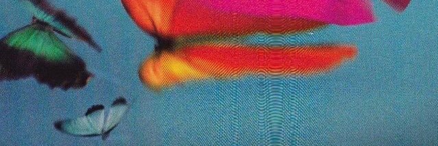 valealvarezsl's profile banner image