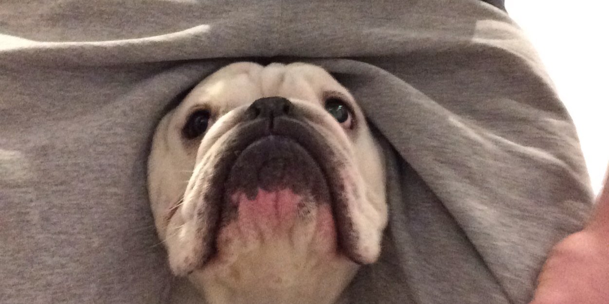 Ninety Two Pounds banner