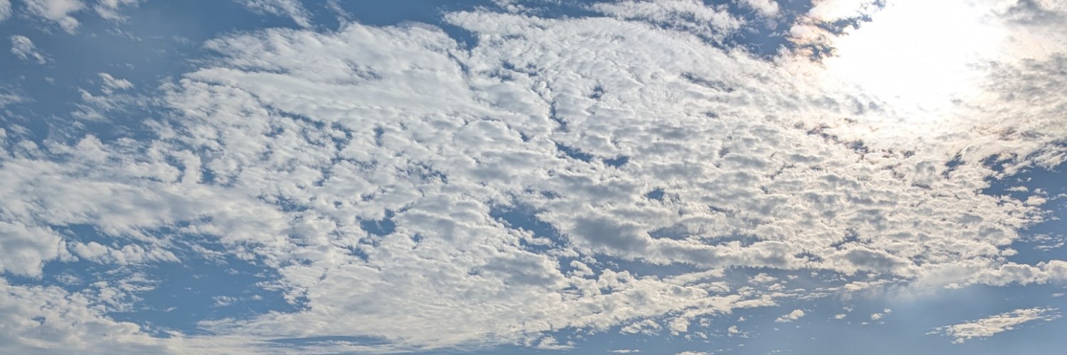 SEAMOMI's profile banner image