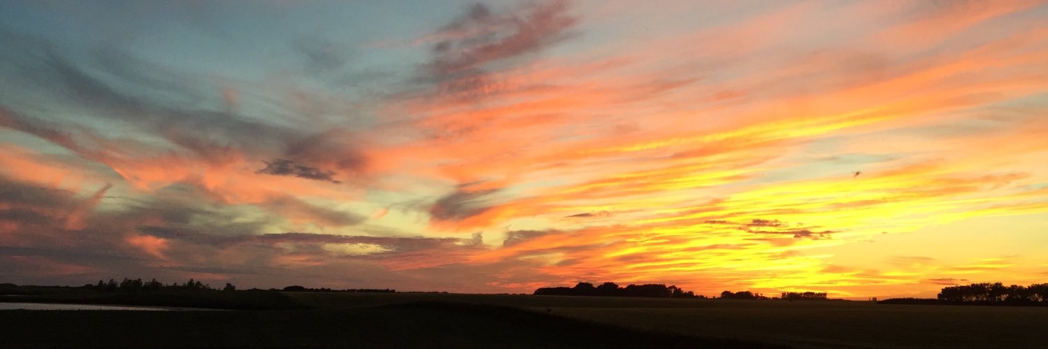 amanda_fanger's profile banner image