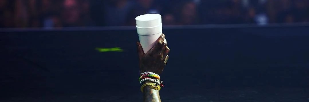 LizzieBug24's profile banner image