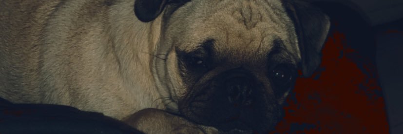 CarlosE_RA's profile banner image