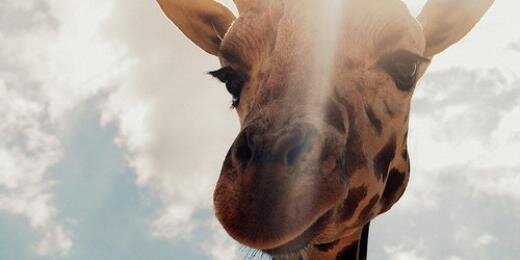cristi_gonmar's profile banner image