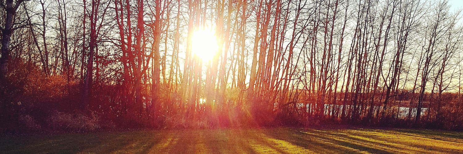 CourtneyStaudt's profile banner image