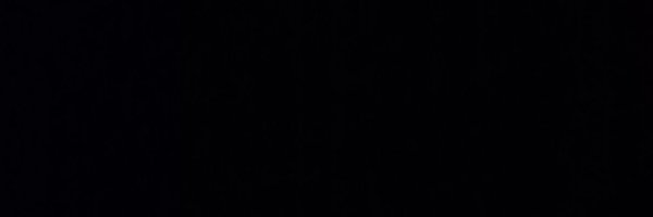 loganbearss's profile banner image