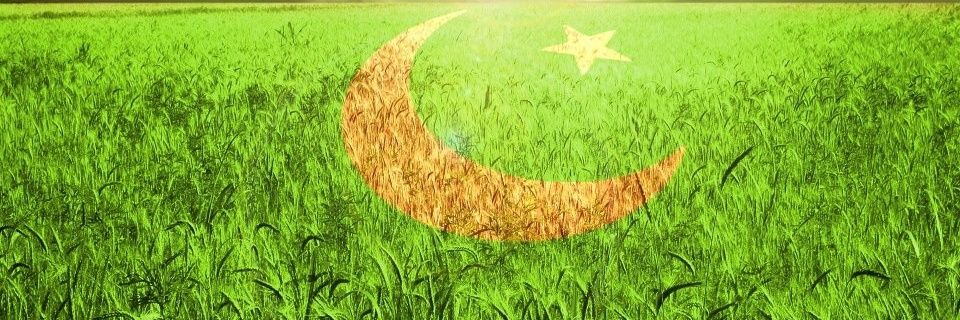 haris_pak's profile banner image