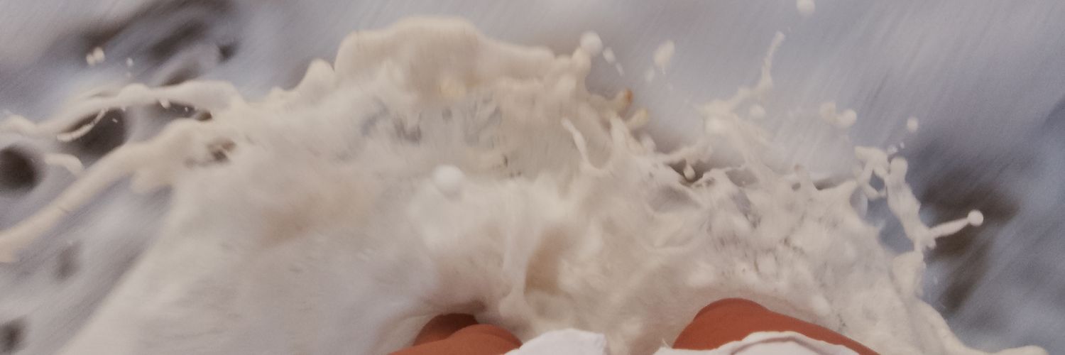layylauria's profile banner image
