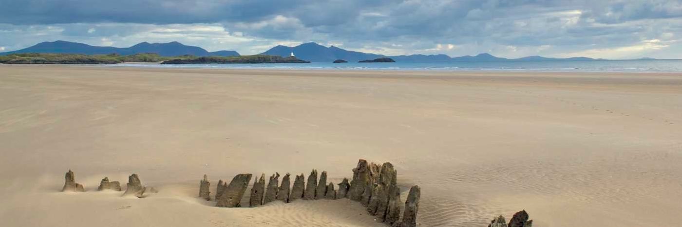 Ann Elsbeth Davies banner