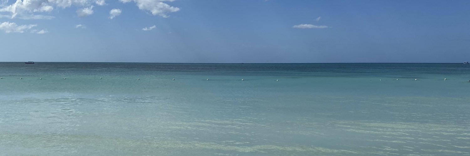 madysonshea12's profile banner image