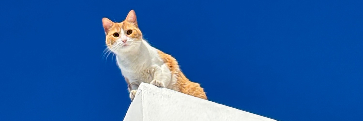 diaanabanda's profile banner image