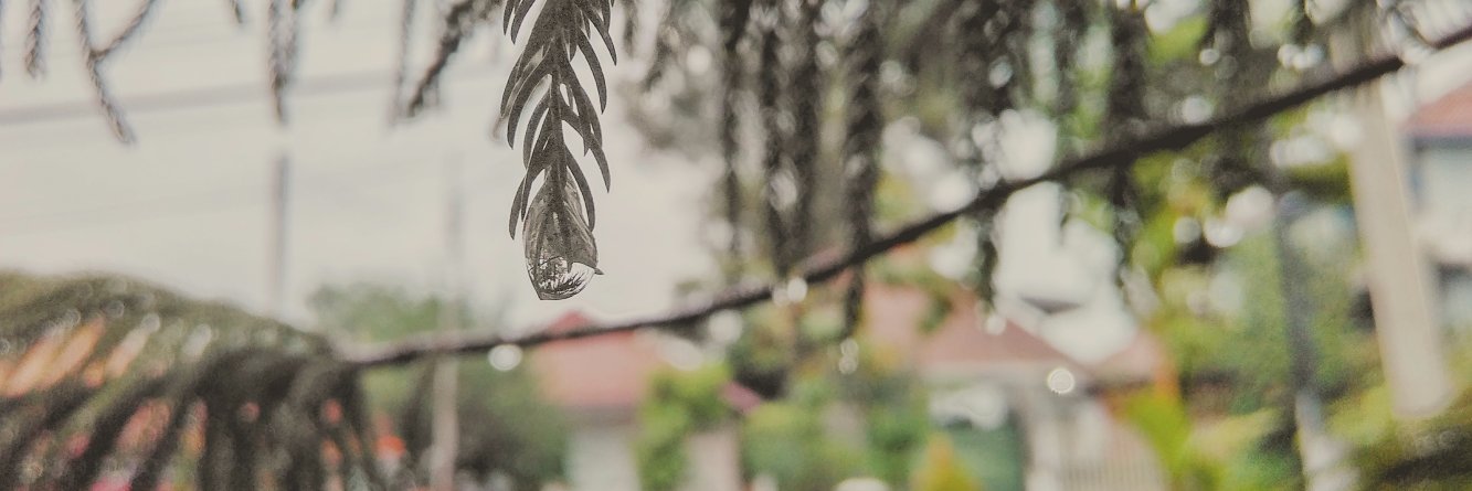 ary_w_n's profile banner image