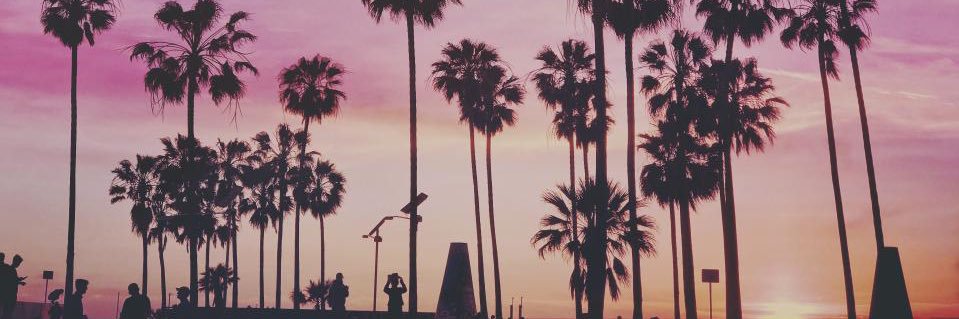 2249 🌿 banner