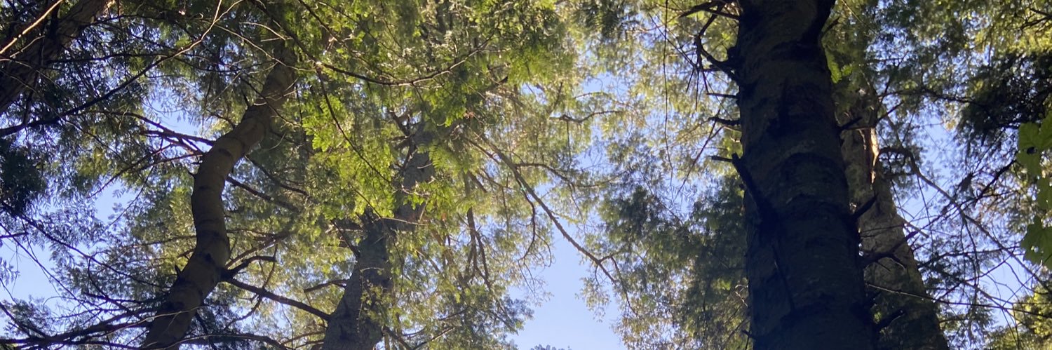 hasslerhoff's profile banner image