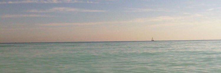 malefazzolari's profile banner image