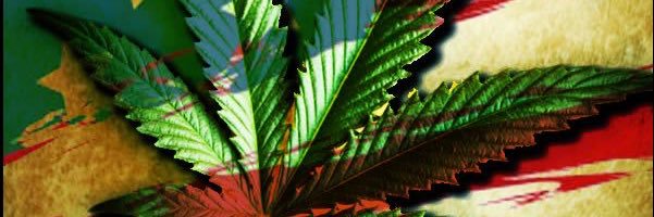 HottDamara's profile banner image