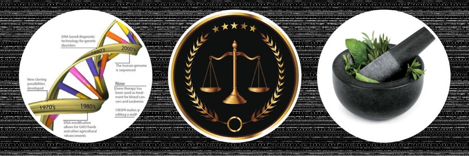 ToraPandora's profile banner image