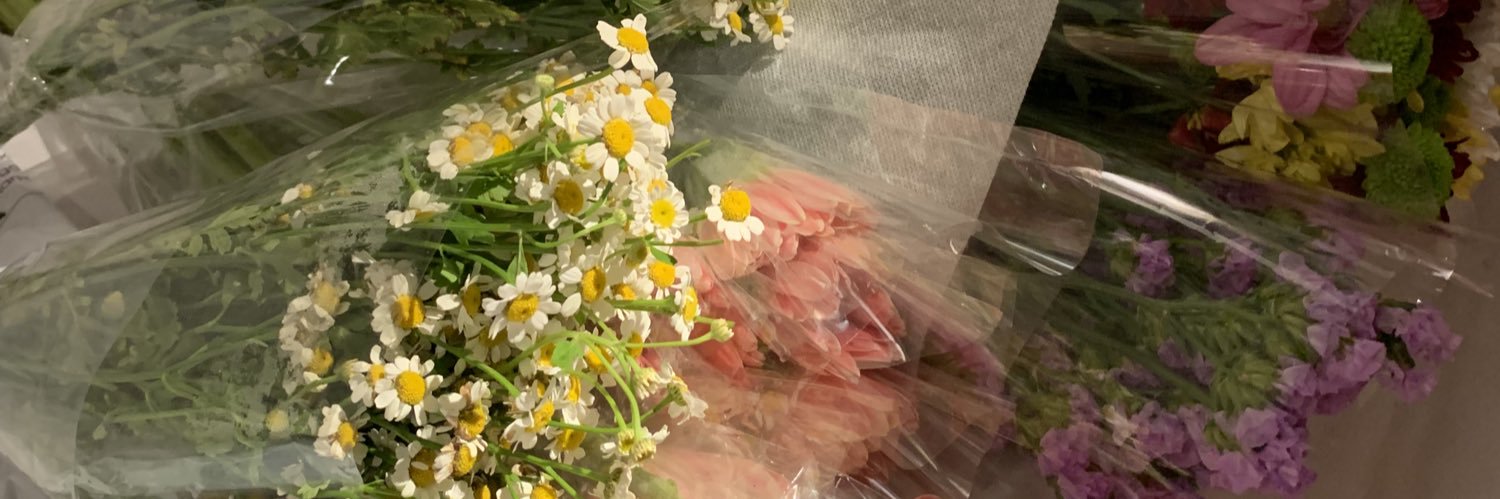 imryzamedina's profile banner image