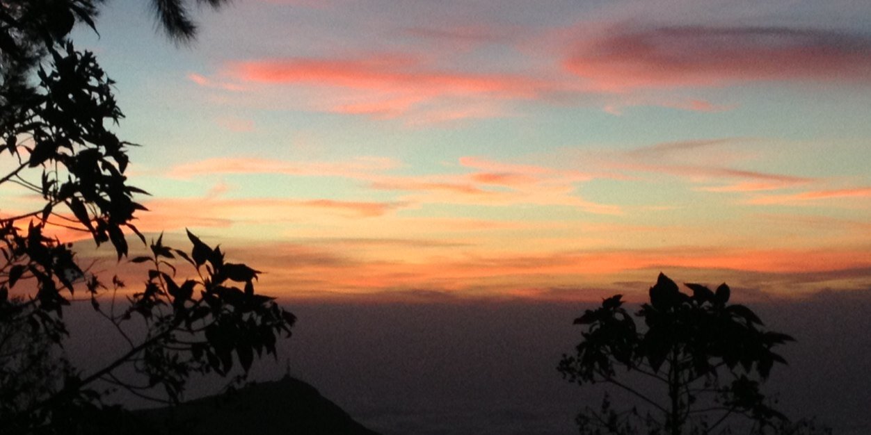 Jessica Mazzola banner