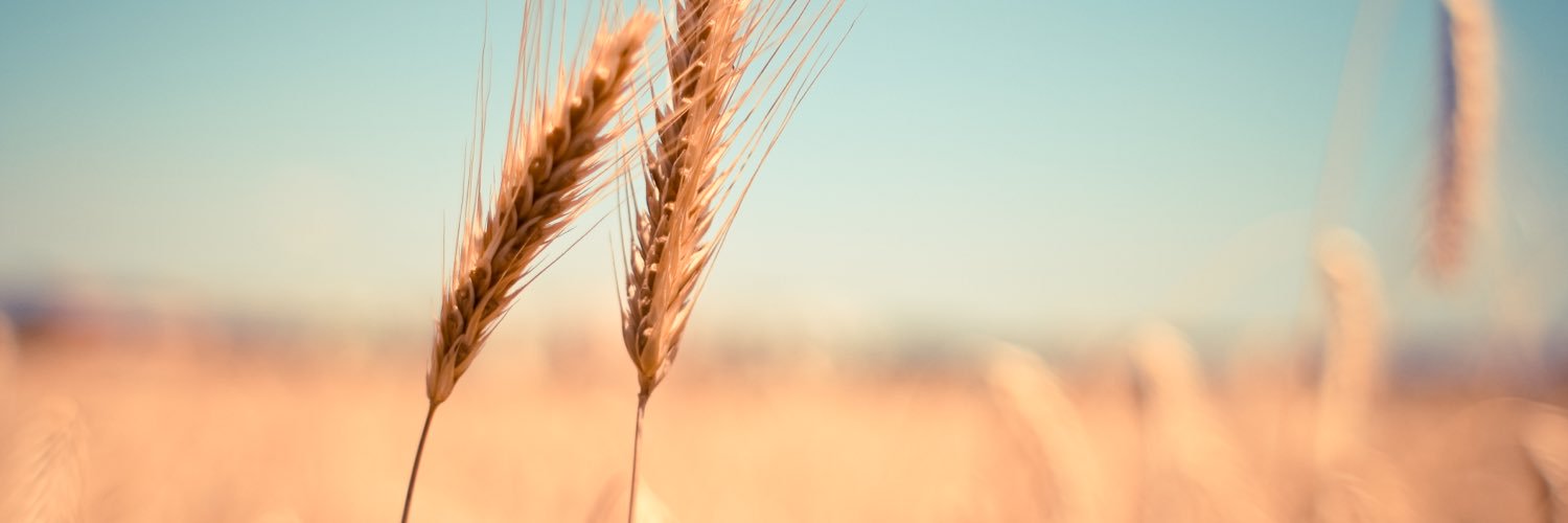 haleet005's profile banner image