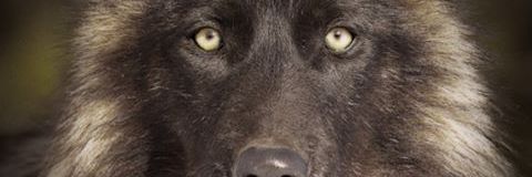 Dee_Cee38's profile banner image