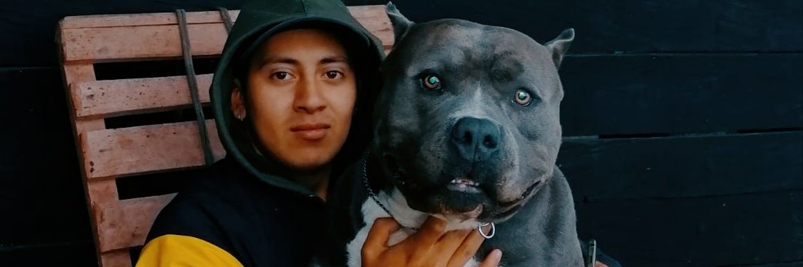 dooglifee's profile banner image