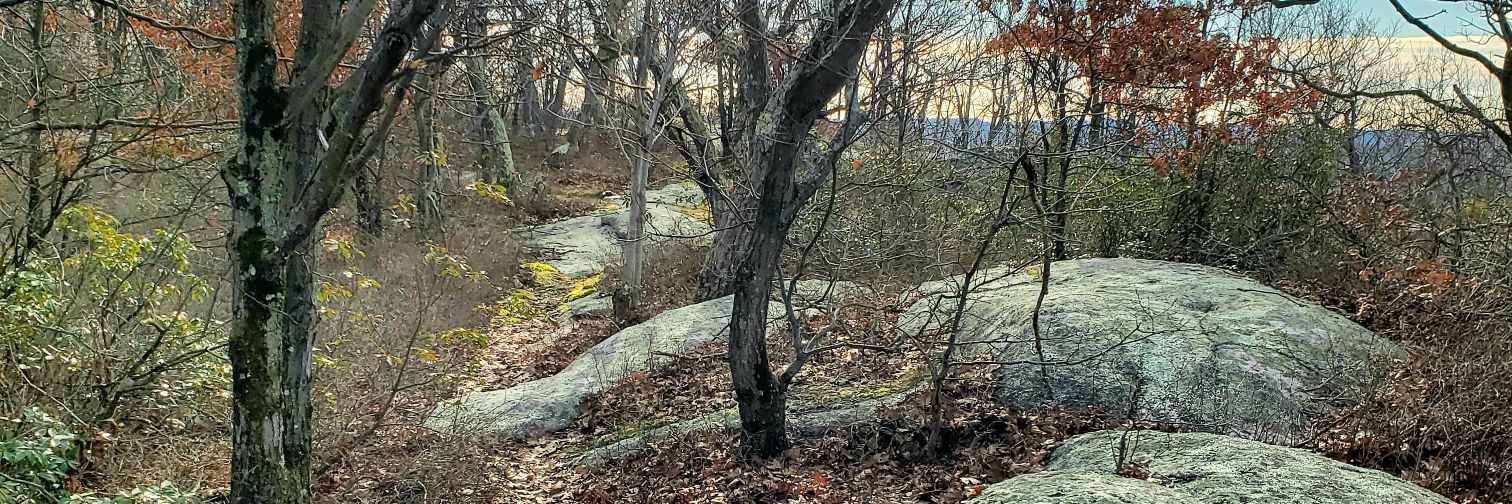 JustBernstein's profile banner image