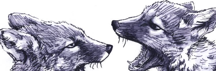 KevinxRenard's profile banner image