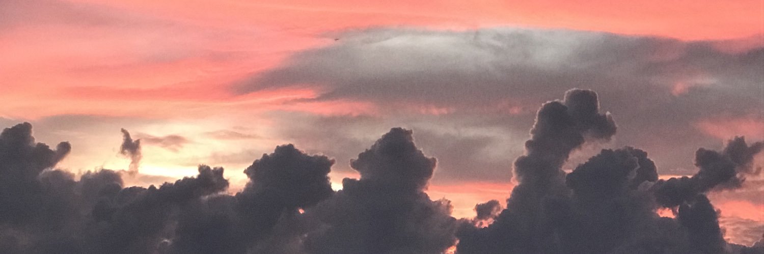 swansotherside's profile banner image